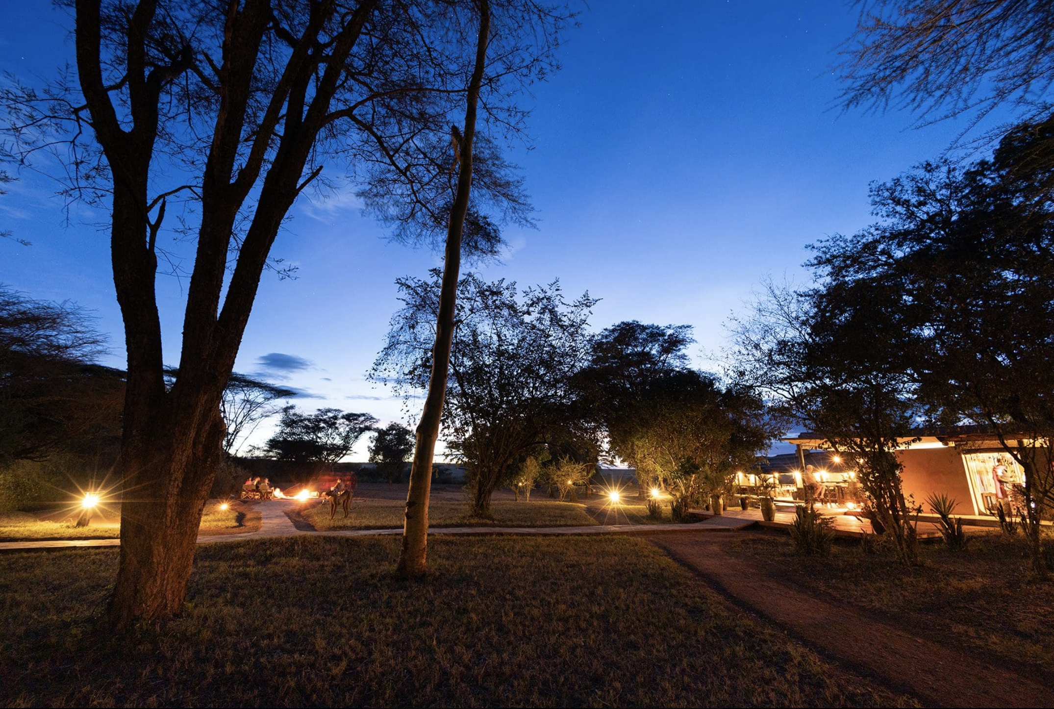 Basecamp – Masai Mara 2025-09-10 at 22.19.57