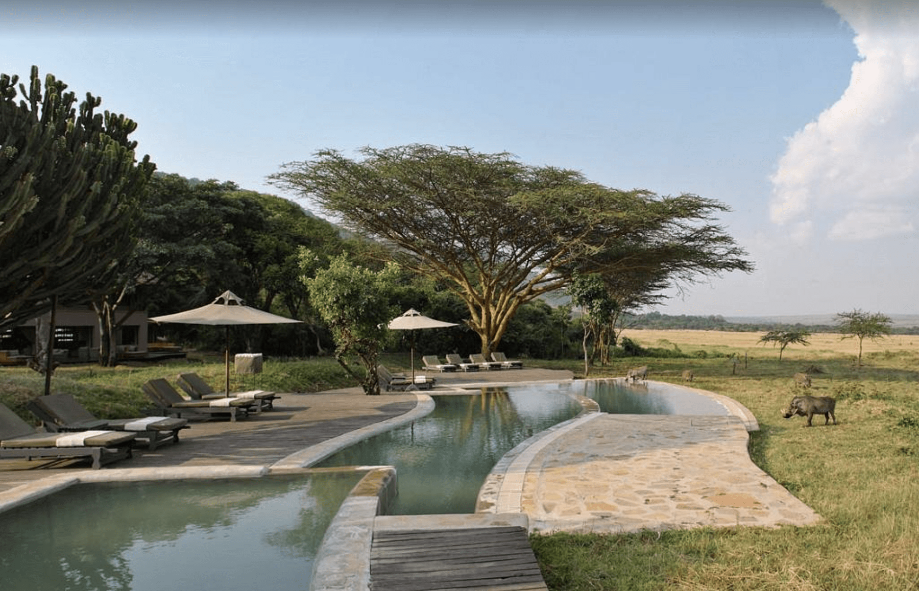 &Beyond Kichwa Tembo Tented Camp | Masai Mara 2025-09-16 at 10.06.28