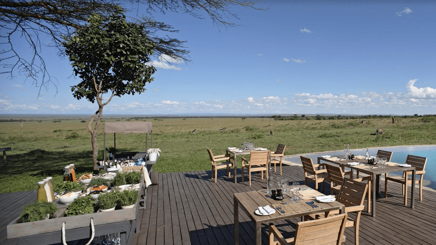 &Beyond Kichwa Tembo Tented Camp | Masai Mara 2025-09-16 at 10.12.33