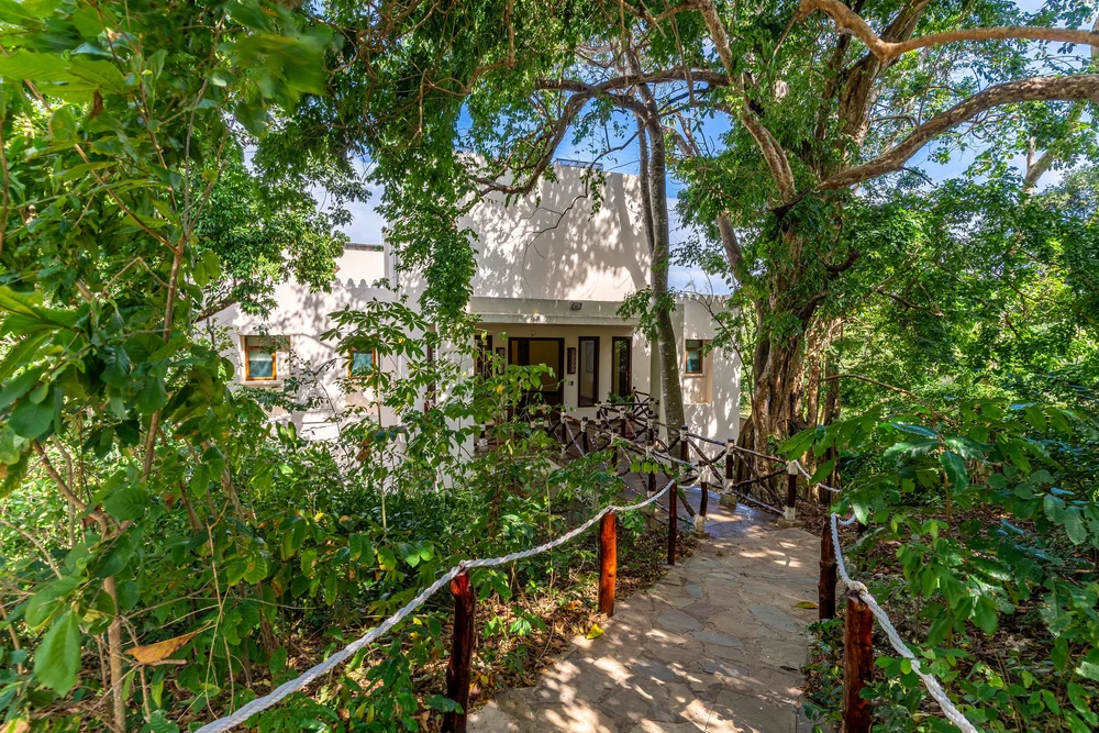 Garden+&+Tennis-0035-DSC03913-HDR