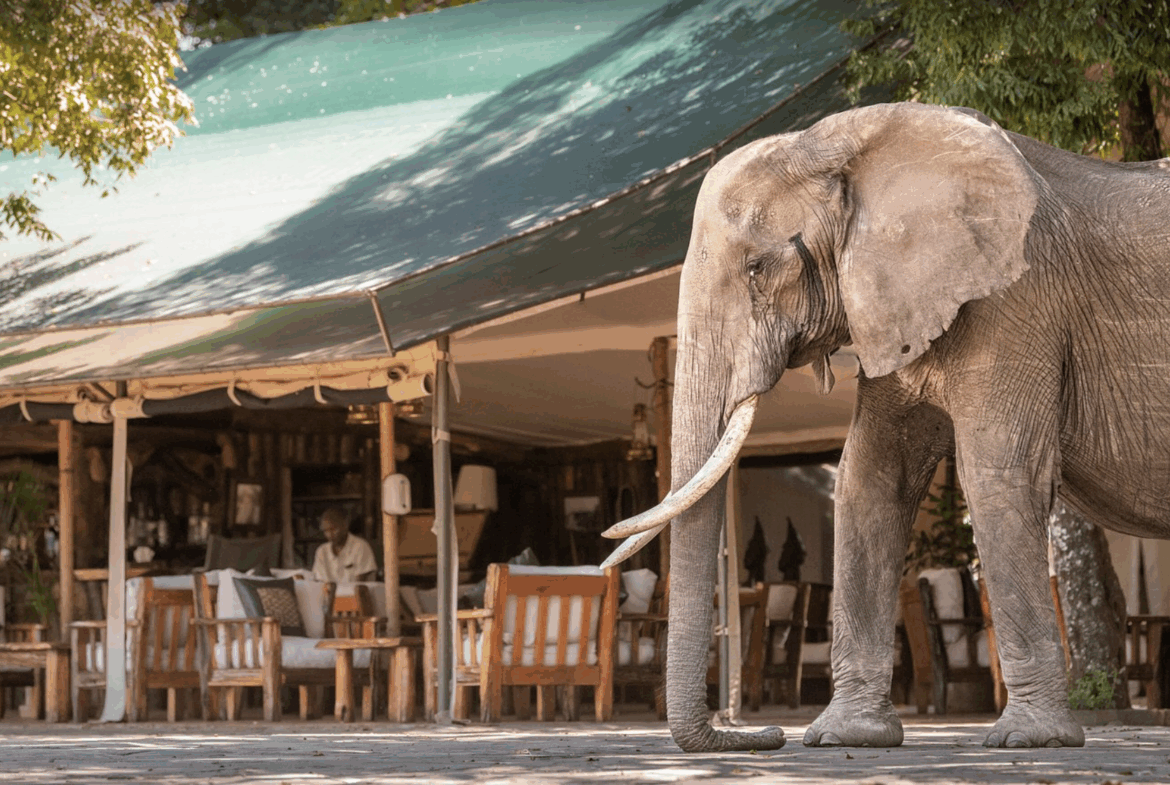 1170