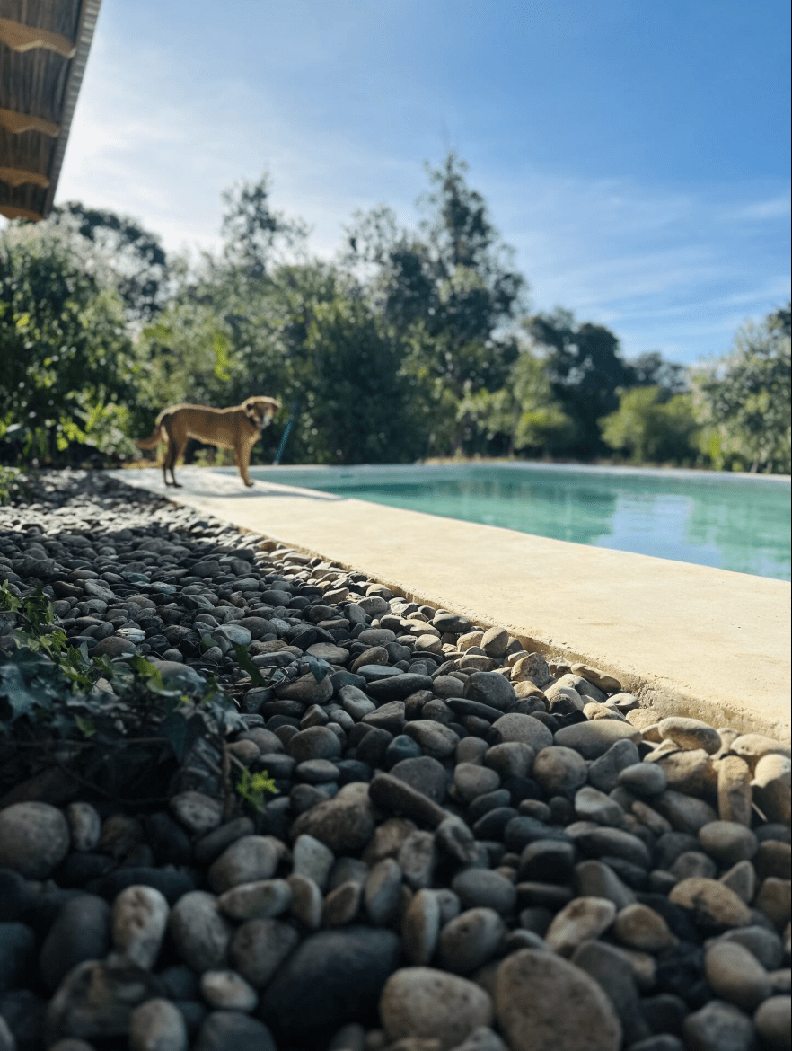 River Run House 2025-09-01 at 07.22.58