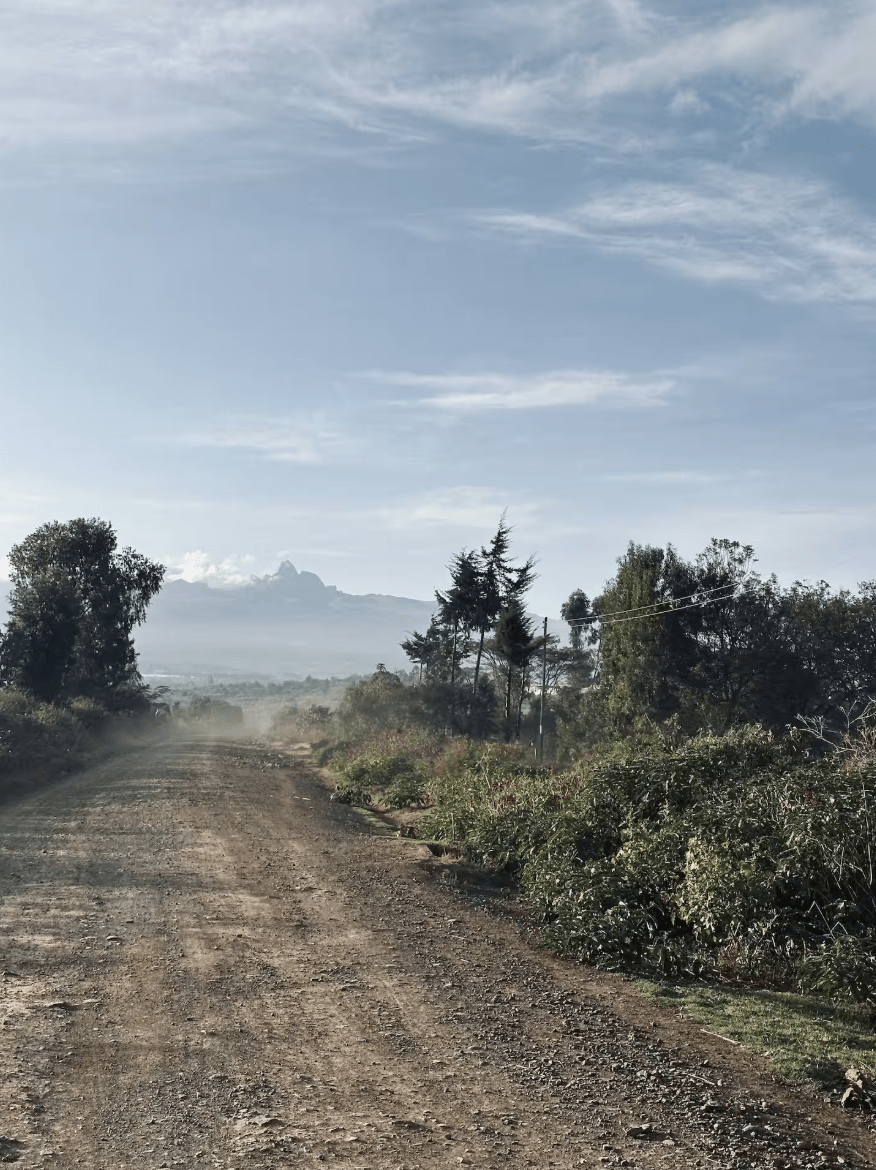 River Run House 2025-09-01 at 07.23.21