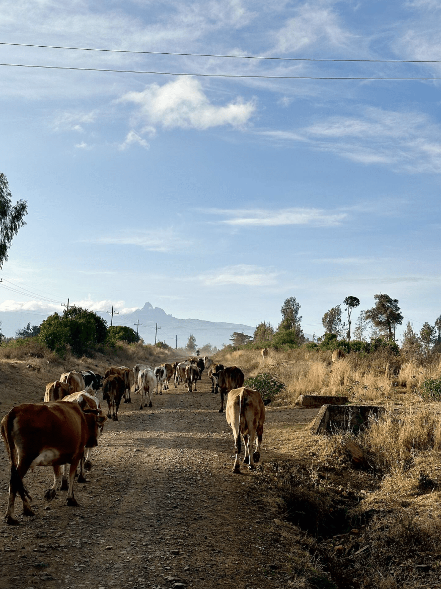 River Run House 2025-09-01 at 07.23.23