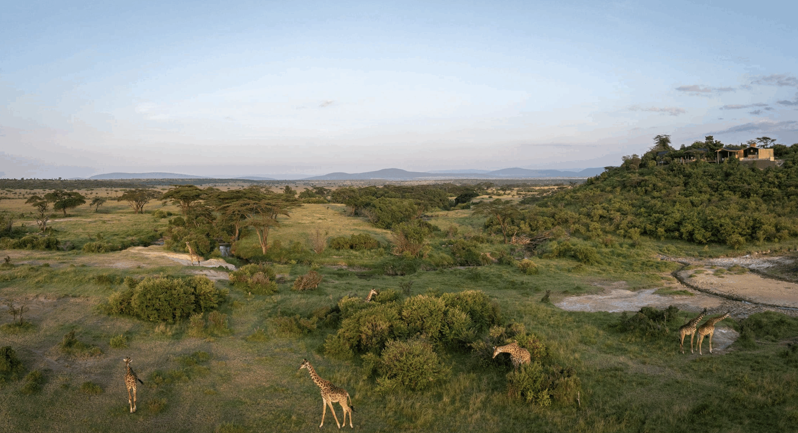 Saruni Basecamp Eagle View – Masai Mara 2025-09-10 at 22.44.52