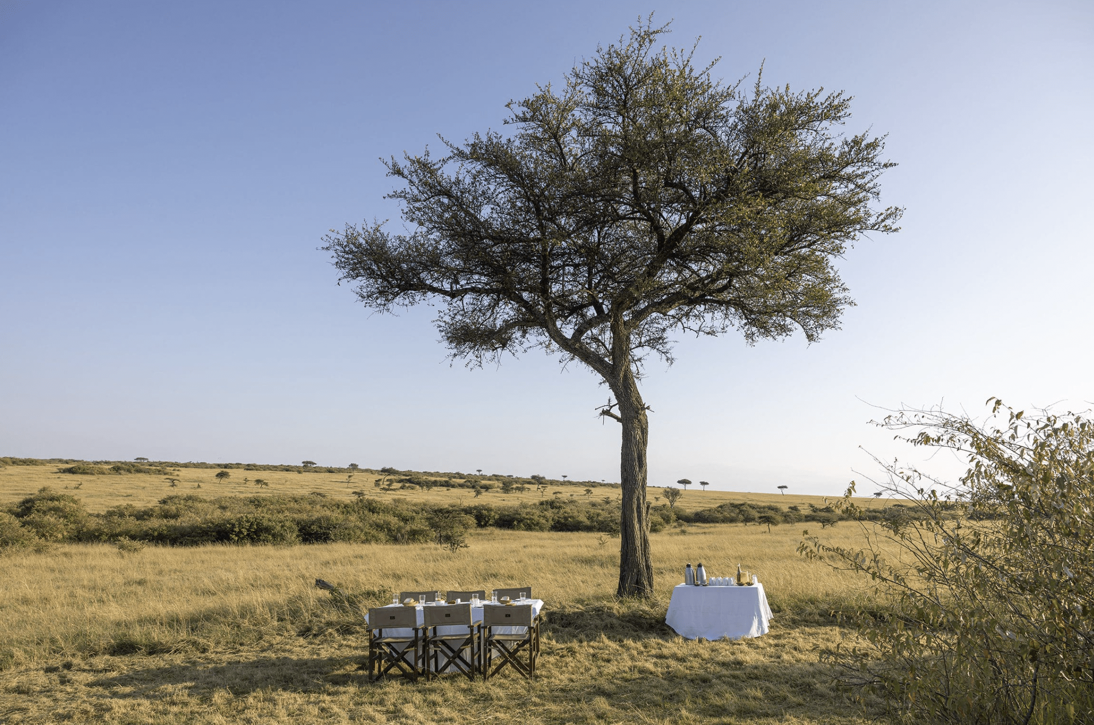 Saruni Basecamp Eagle View – Masai Mara 2025-09-10 at 22.45.21
