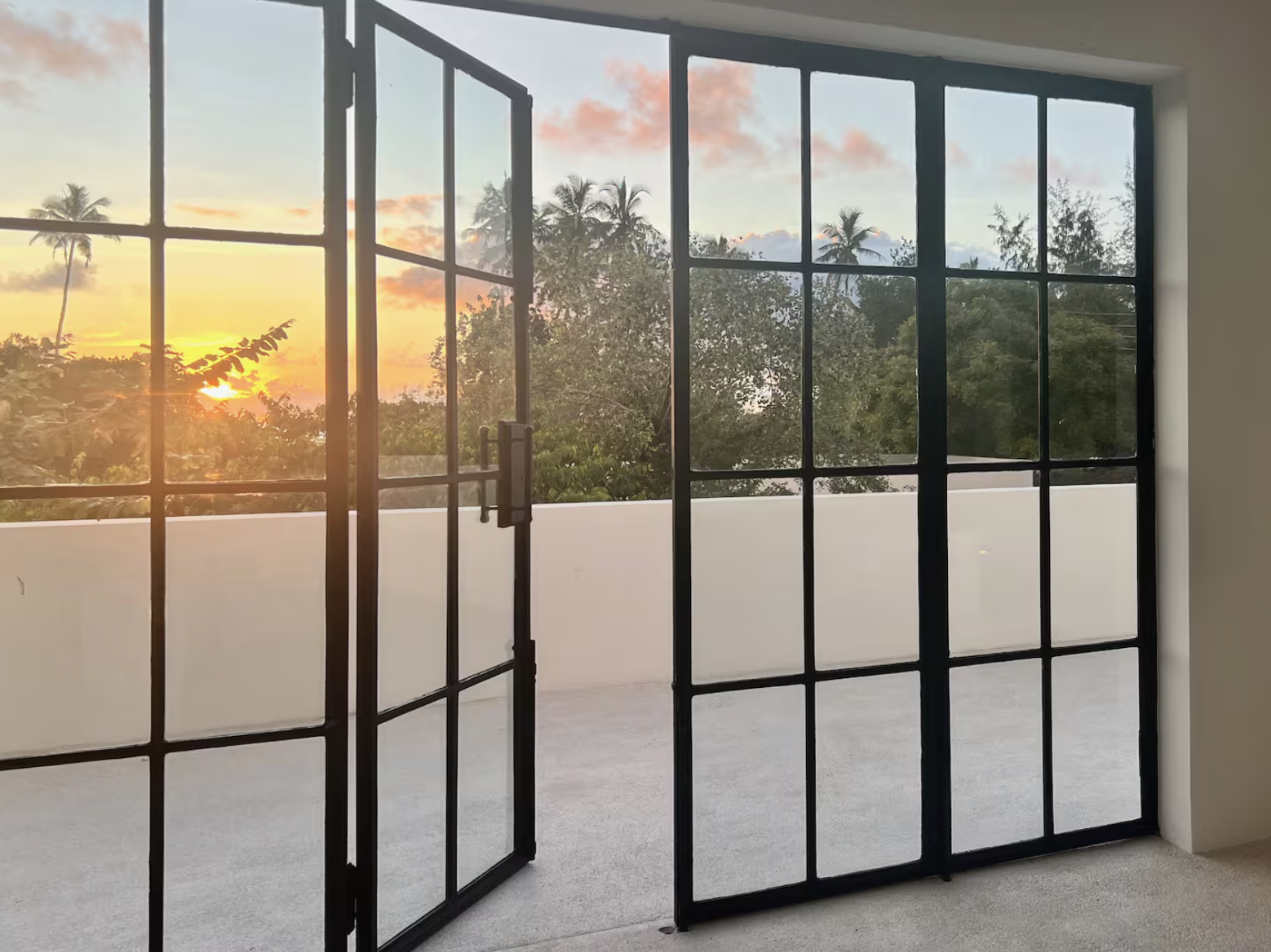 The Ape Escape 2025-08-23 at 14.12.07