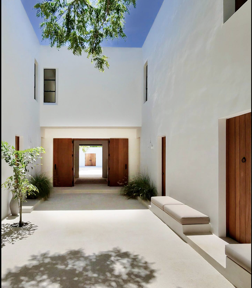 The Ape Escape 2025-08-23 at 14.15.55