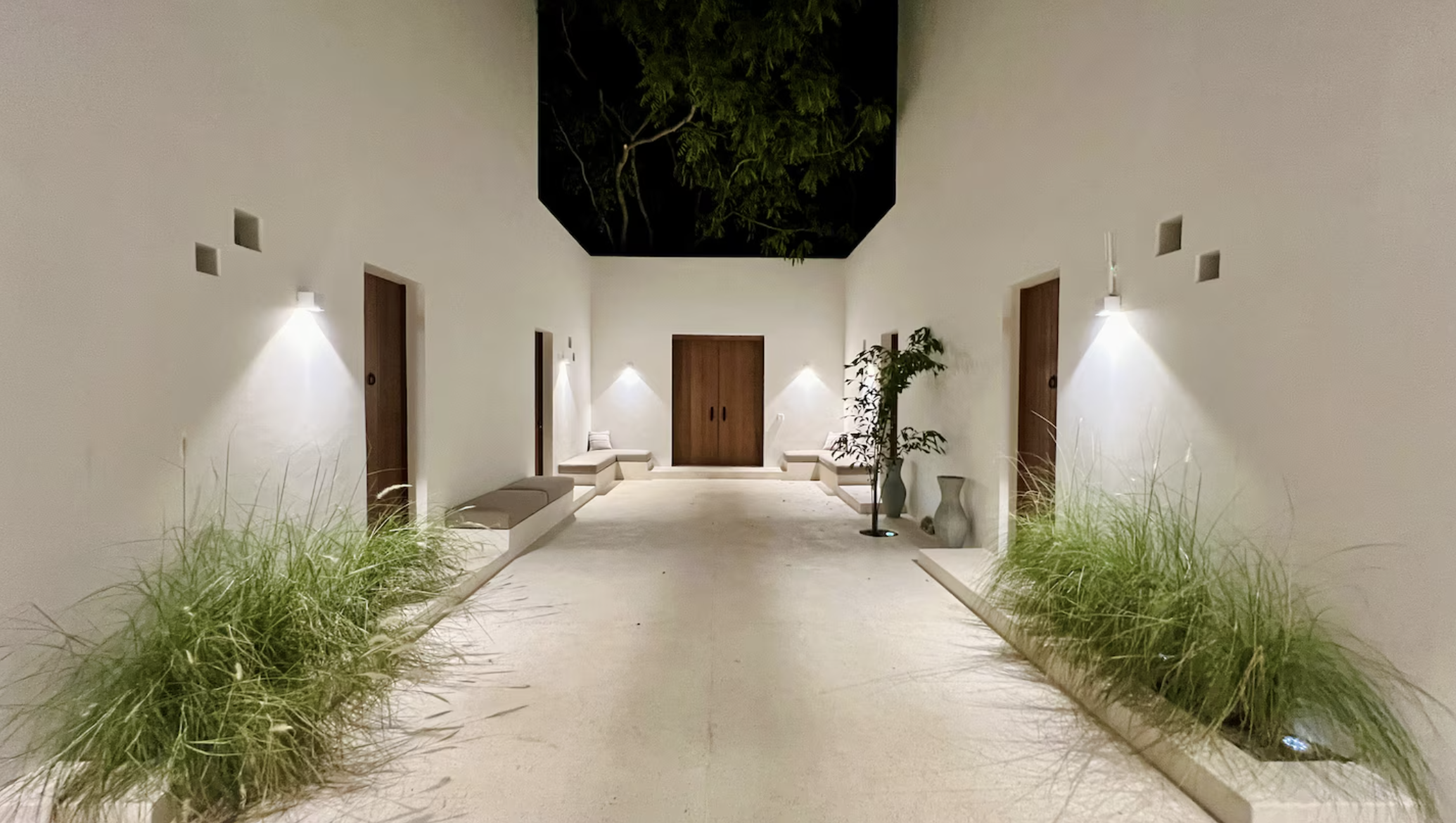 The Ape Escape 2025-08-23 at 14.16.34