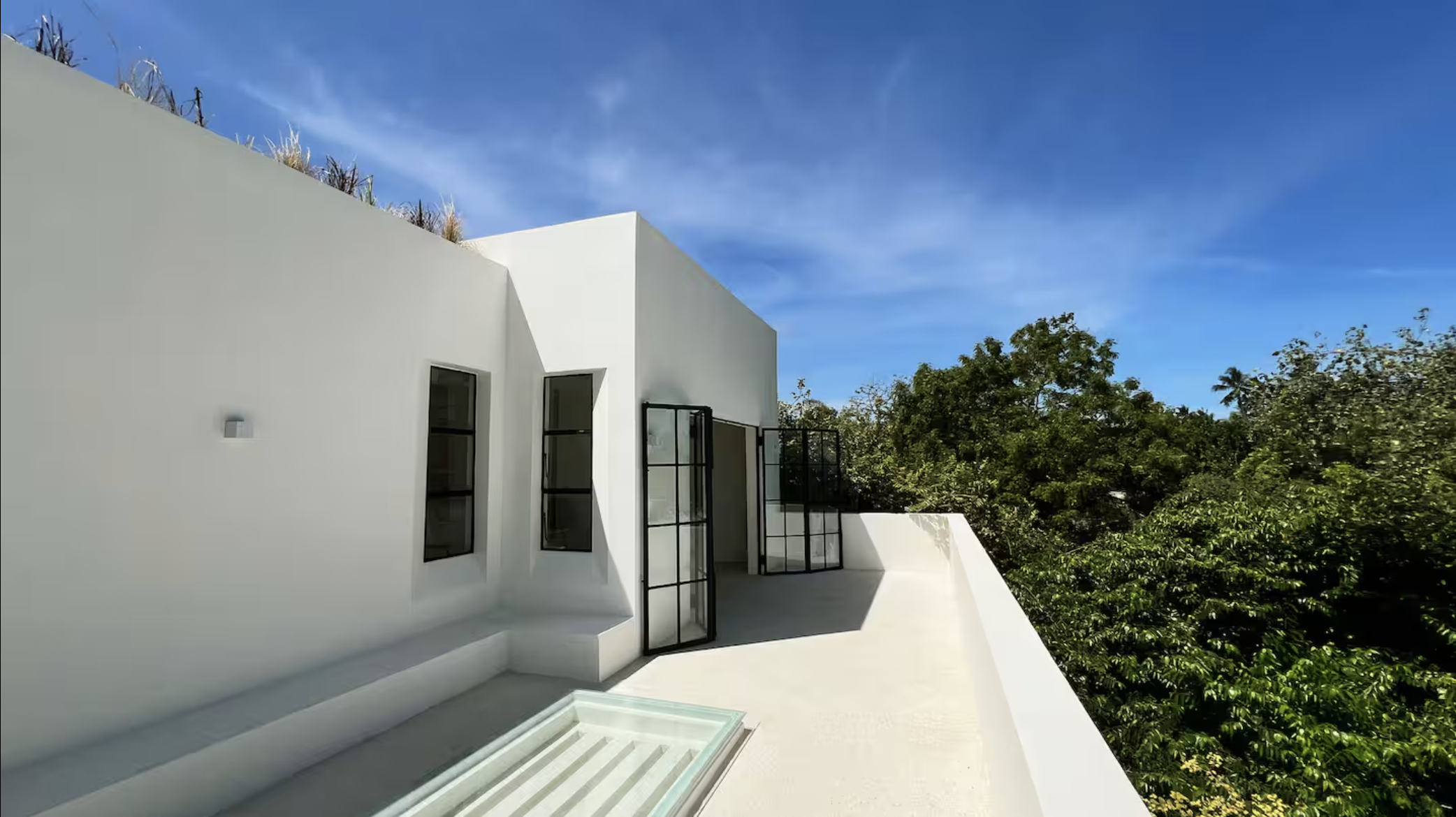 The Ape Escape 2025-08-23 at 14.16.52