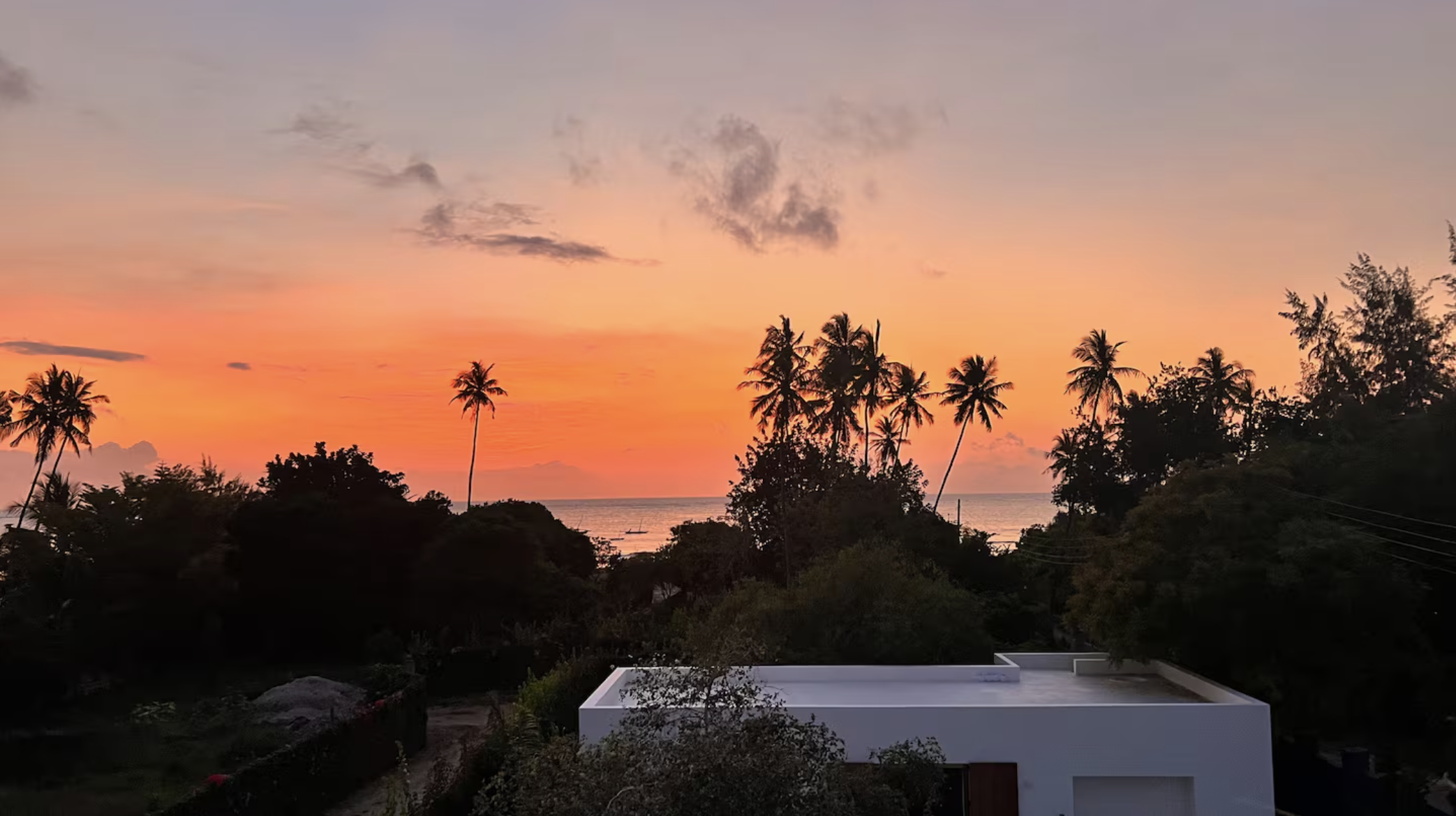 The Ape Escape 2025-08-23 at 14.17.19