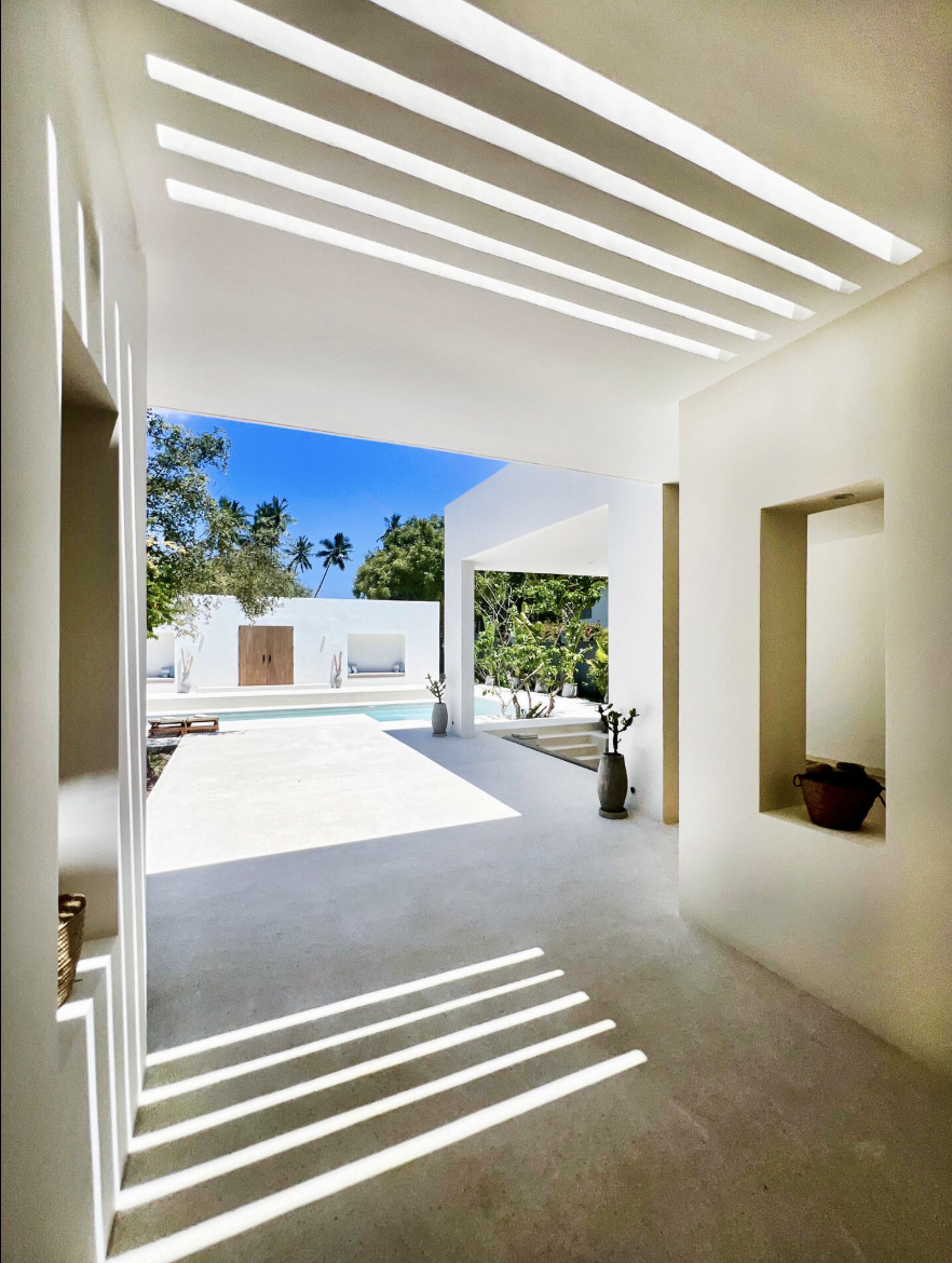 The Ape Escape 2025-08-23 at 14.18.01