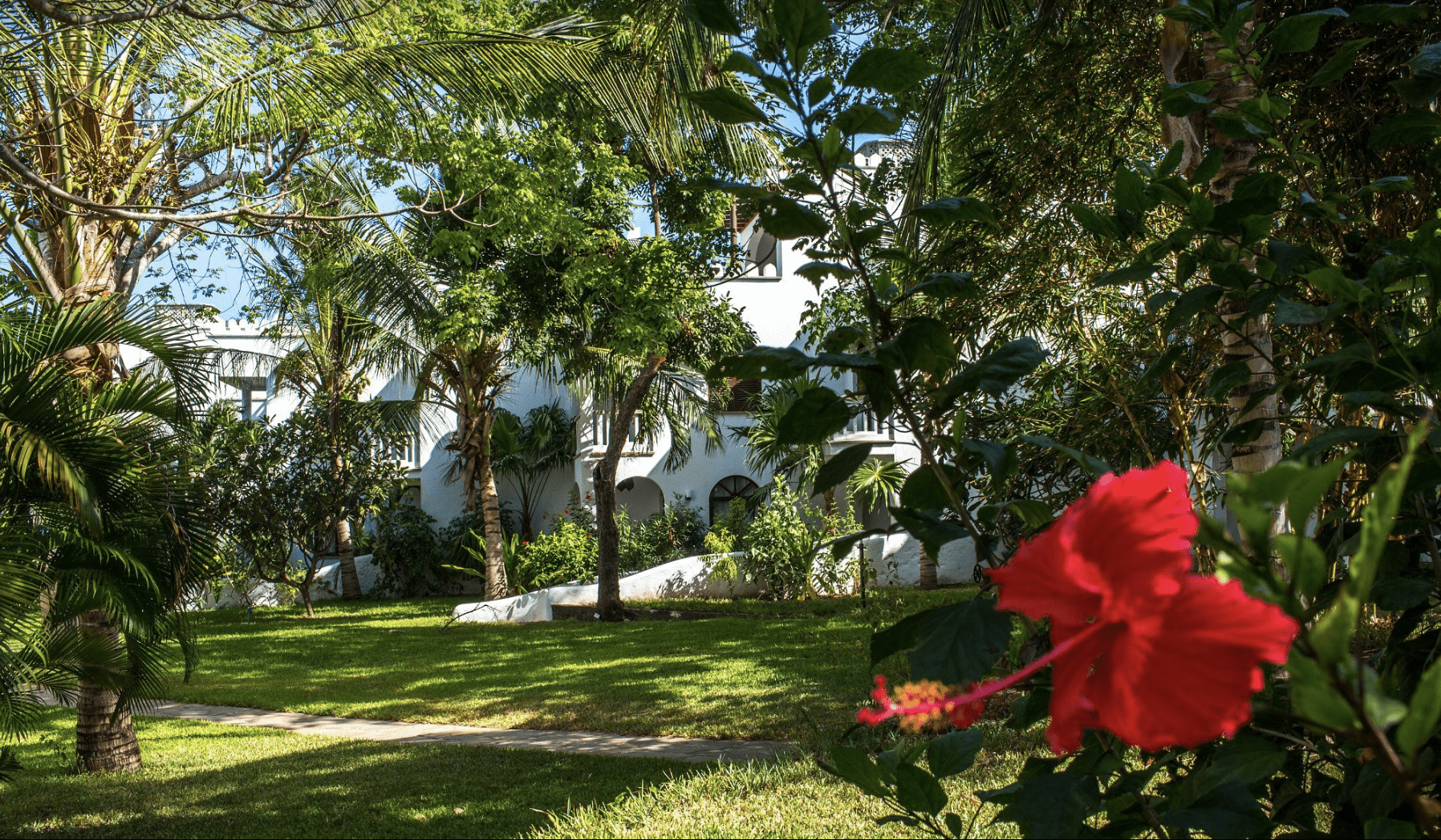 Luxury Lantana Galu Beach 3 Bedroom Villa in Diani 2025-11-15 at 08.43.03